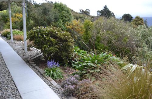 Portobello Bed & Breakfast | Treetops B&B