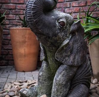 Walmer Bed & Breakfast | Treetops Guesthouse