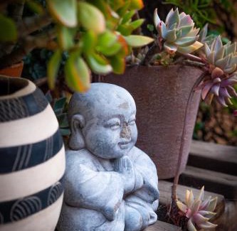 Walmer Bed & Breakfast | Treetops Guesthouse