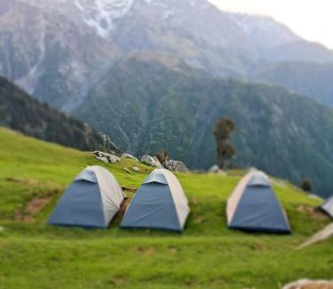 Dharamshala Other | Trekking Lens Triund Top Camping