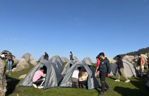 Dharamshala Other | Trekking Lens Triund Top Camping