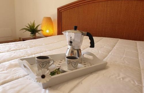 Marsala House | Trenasse