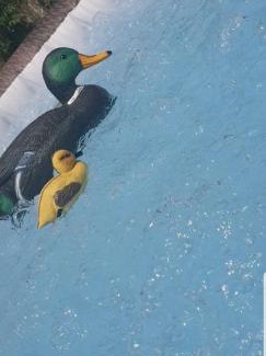 Marsala House | Trenasse