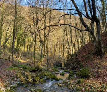 Central Serbia Apartment | Trest Forest