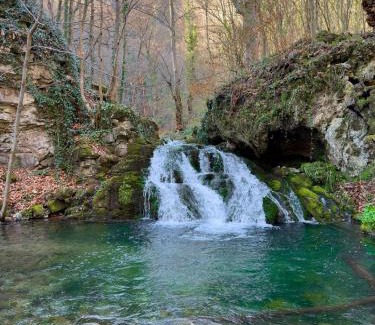 Central Serbia Apartment | Trest Forest