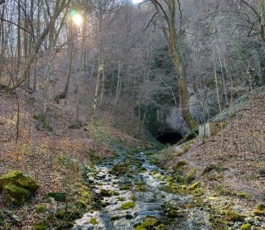 Central Serbia Apartment | Trest Forest