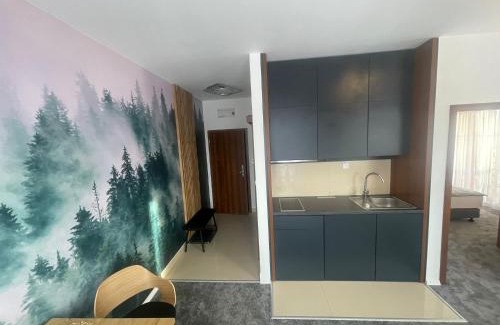 Velka Lomnica Apartment | TRITA SK - Apartmán Tatragolf C303