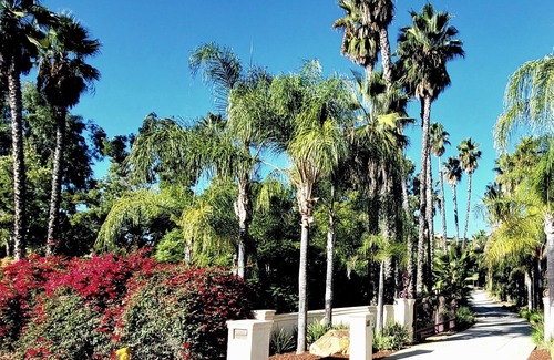 El Cajon House | Tropical Paradise & Serenity - Sportsman's Delight