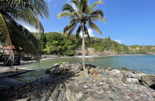 Basse-Pointe Apartment | TROPIK'APPART 972