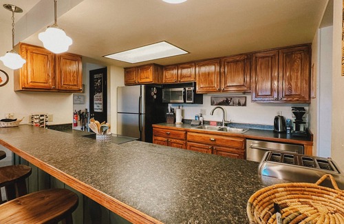 Crested Butte Ski Chalet | True Ski-In/Out 3BR Condo w/Hot Tub and Huge View