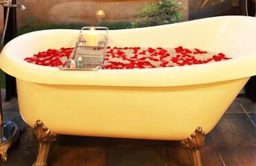 Avarghani Hotel | Tuli Tiger Corridor