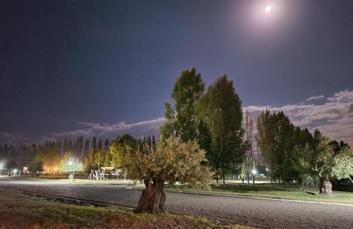 Tupungato House | Tupungato entre viñas, valle de Uco