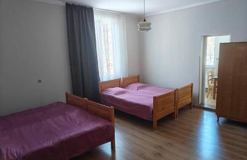 Bakuriani Apartment | Tuz House R10