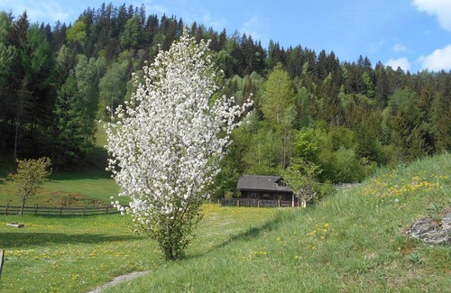 Teufenbach-Katsch Cabin | Umundum Hütte, Österreich