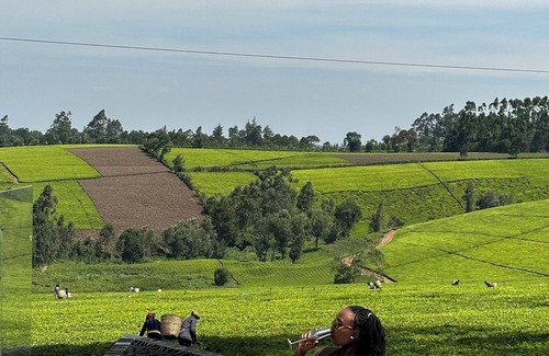 Central Business District Cabin | Unique 3-bedroom Tea cabin with WiFi in Nairobi