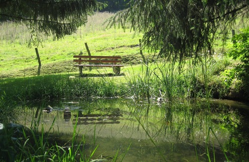 Bad Berleburg Apartment | Unique sunny location for nature lovers with a fantastic view of the countryside