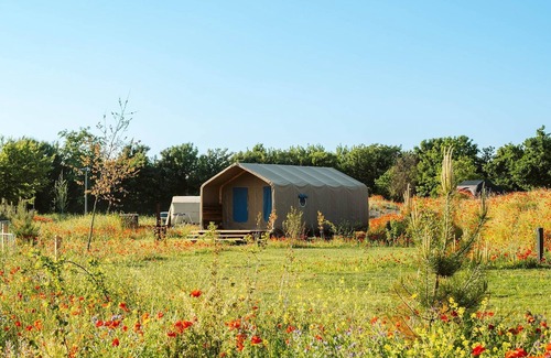 Ouddorp RV Rental | Unique Wikkelhouse camping tent