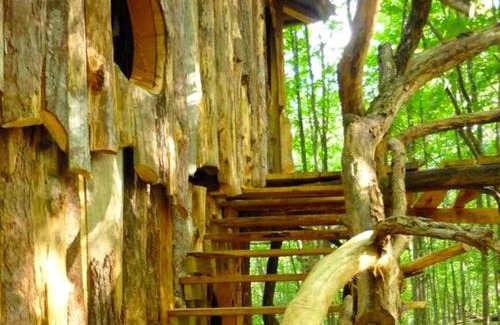 West Pawlet House | Uniquely Crafted Tree House Rental near Lake Saint Catherine, Vermont