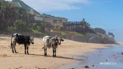 Kei Mouth Apartment | Unit 18 Kei Sands Resort