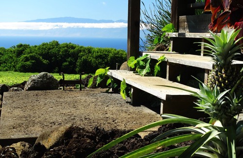 Hawi House | Until you experience it you don't know it exist. Exceeded Expectations