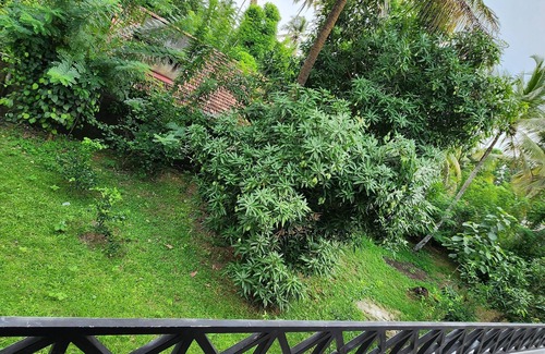 Minuwangoda House | Unwind and relax, cozy house on acre by the rice fields, plenty of space to rest