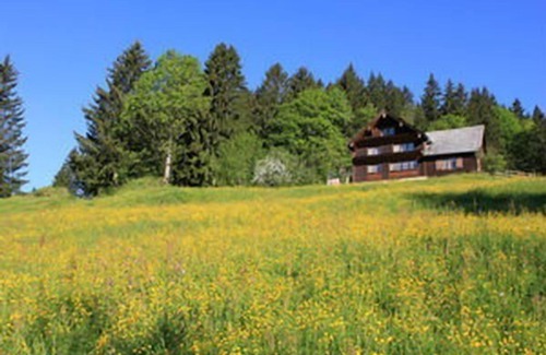 Nesslau-Krummenau Other | Upper Laui