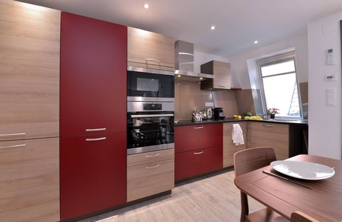 Colmar Centre Ville Apartment | Upscale apartment in the heart of the historic center of Colmar