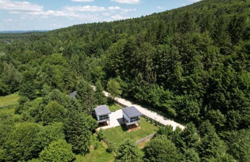 Porumbacu de Jos Cabin | Urban Forest House