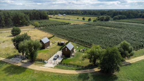 Warka House | Uroczysko nad Pilicą Sauna & Balia