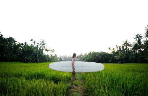 Varkala Hotel | Utopia Varkala - Boutique stay in Odayam rice fields