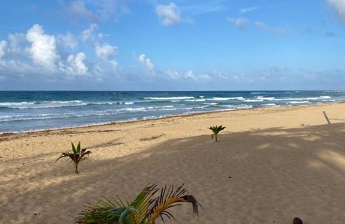 Punta Cana Apartment | Uvero Tropical Beach Rental #3