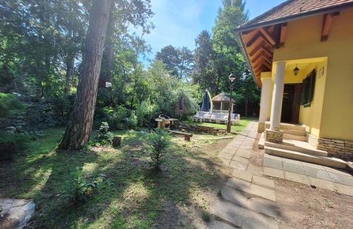Zamardi House | Vécsey Villa