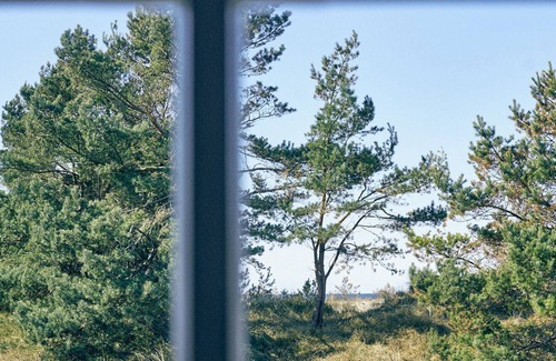 Neuhaus Apartment | Vacation apartment/apartment for 4 guests with 60m² in Dierhagen (123529)