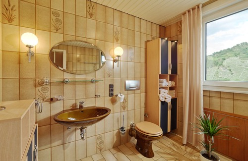 Niederemmel Apartment | Vacation apartment Loreleyblick