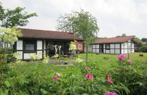 Hollern House | Vacation home 71 Scout 48sqm for max. 4 persons with pet - Holiday home Scout 48