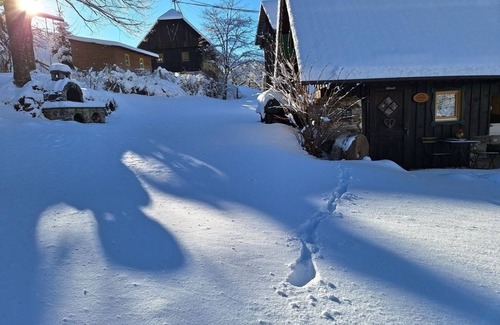 Bad Sankt Leonhard im Lavanttal House | Vacation home for 2 guests with 50m² in Görlitzen (294868)