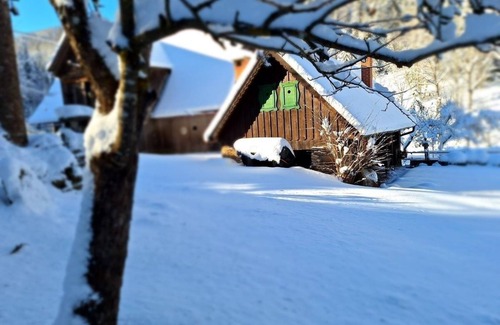 Bad Sankt Leonhard im Lavanttal House | Vacation home for 2 guests with 50m² in Görlitzen (294868)