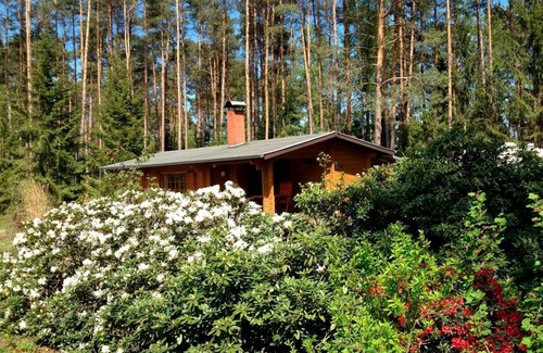 Suderburg House | Vacation home for 4 guests with 55m² in Böddenstedt (20539)