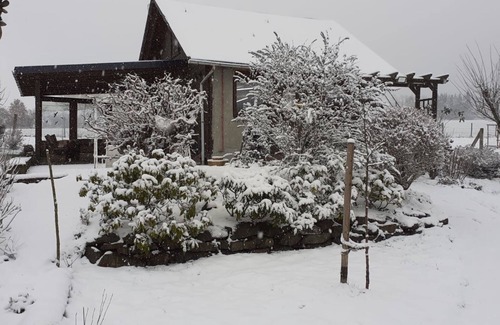 Meschede House | Vacation home for 4 guests with 60m² in Meschede (269076)