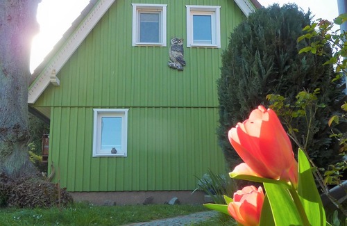 Born auf dem Darss House | Vacation home for 4 guests with 75m² in Prerow (131027)