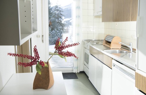 Valbella Apartment | Vacation home Mistaila for 6 persons Valbella-Lenzerheide
