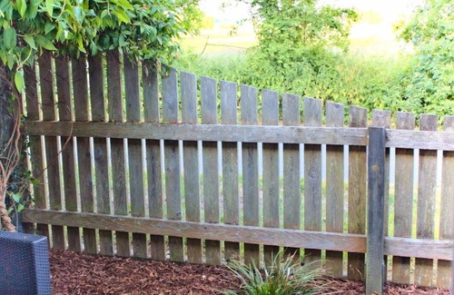 Wiek Apartment | Vacation in peace & nature - apartment on the Bodden with fenced plot. & water access