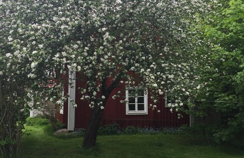 Hogsby House | Vacation in Småland in a typical Swedish house with Geschichte🇸🇪