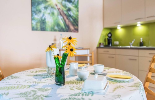 Ueberlingen Apartment | Vacation Studio "Grünspecht" with Wi-Fi, Garden & Terrace