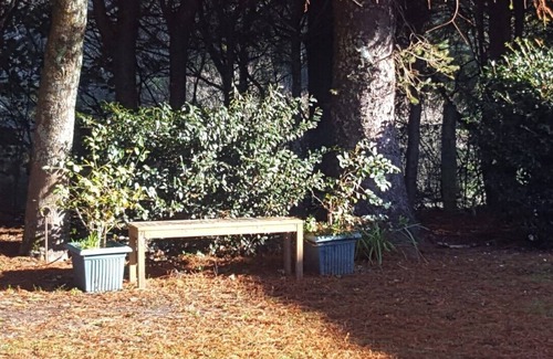 Rotorua Apartment | Valley Hideaway, peaceful and quiet. No Vape no Smoking property