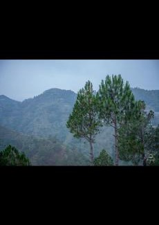Pauri House | Valley vibes by Bahugunas den