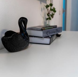 Craiova Apartment | Vanguard Suite De Lux