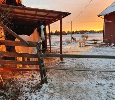 Ekolsund House | Verkestaberg by Tiny Away