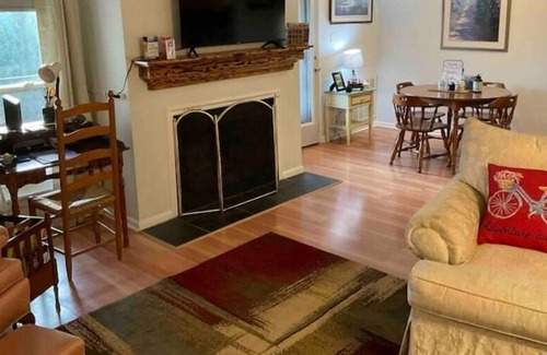 Mount Dora Condo | Very spacious and contemporary 2 bedroom condo with amazing Mountain Views