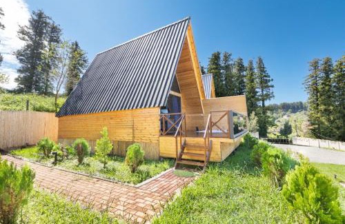 Tkhilnari Ski Chalet | Via Bungalows Batumi
